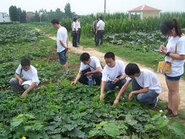 鄧州市穰原農作物種植專業合作社