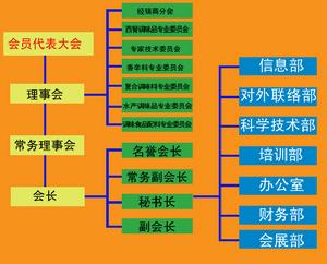 組織結構圖