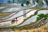 24節氣養生法