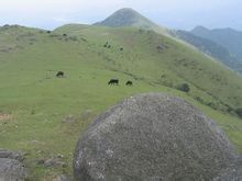 雲飛嶂