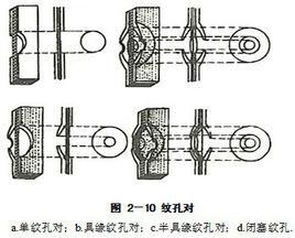 半具緣紋孔