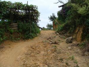 進村道路