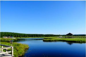 塞罕壩國家森林公園