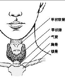 扁桃體惡性腫瘤