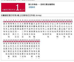 深圳公交大鵬新區假日專線1路