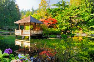 Japanese Garden in Royal Roads