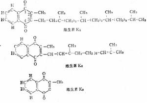 （圖）維生素K