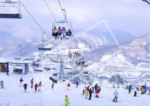 韓國滑雪博物館