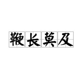 鞭長莫及[漢語成語]