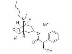 分子式