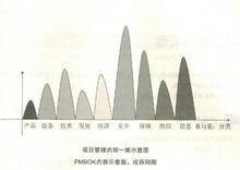 項目管理知識體系（大綱）