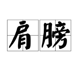 肩膀[身體部位]