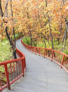 桃山公園