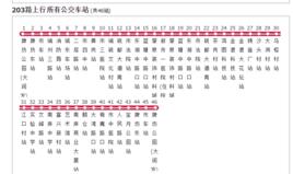 肇慶公交203路