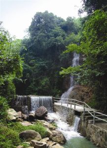 白水寨生態園