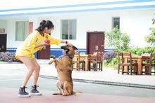 金美伶《警犬來啦》劇照