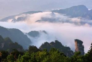 天子山雲瀑