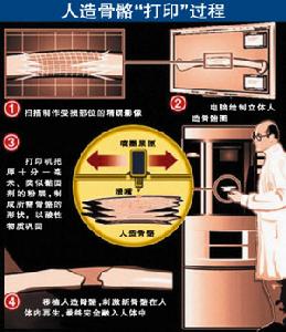 （圖）骨骼印表機