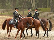 舊金山：騎在馬上的美國公園警察