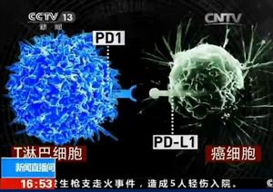 陳列平教授科學研究