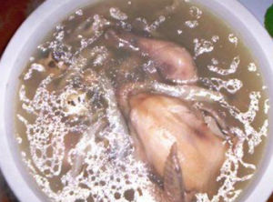 童雞響螺淮山湯 童雞響螺淮山湯