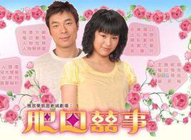 肥田喜事[2006年許志安、胡杏兒主演電視劇]