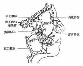 顏面部癤癰