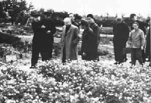 1980年春，時任農工黨中央副主席嚴信民（左一）
