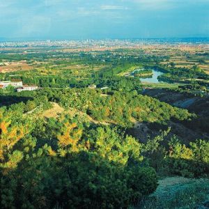 哈達門國家森林公園