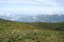 陝西牛背梁國家森林公園—高山風光區