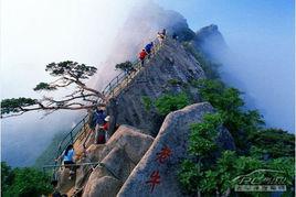 鳳凰山[河北省宣化縣鳳凰山]