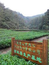 武夷山市天心正岩茶葉科學研究所