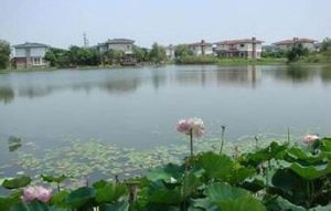 沙家浜國家濕地公園