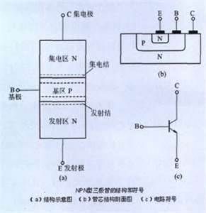 晶體三極體（NPN）的結構 