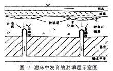 圖2　濾床中發育的淤填層示意圖