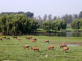 大興濕地公園