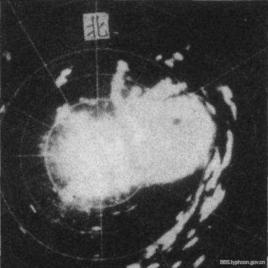 7314號颱風