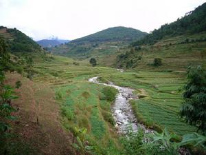 棉花自然村[雲南普洱景東縣漫灣鎮安樂村委會棉花自然村]