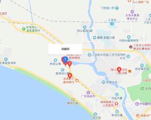 回新村[海南省三亞市鳳凰鎮回新村]