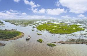 洪澤湖濕地國家級自然保護區