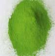 （圖）百竹綠茶粉