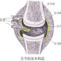 膝蓋錯位