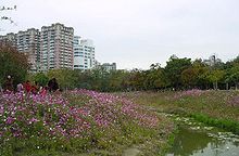 巴克禮紀念公園