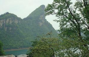 鎮山國家森林公園