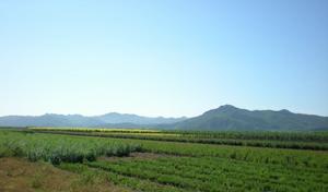 靠山鎮位於開原市東南部