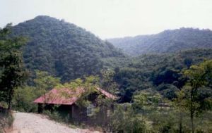 大連金龍寺森林公園