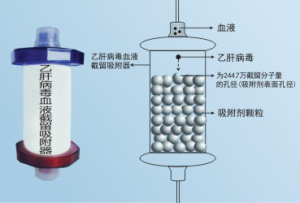 作用機理