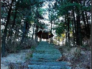 妙道山國家森林公園