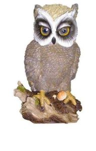 owl[動畫人物]