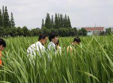 黃梅大源湖